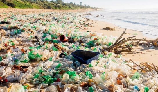 Plásticos biodegradables ¿realmente funcionan?