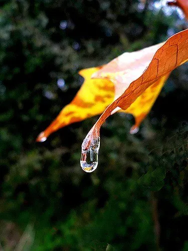 22 DE MARZO DE 2022: DÍA MUNDIAL DEL AGUA