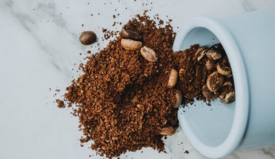 Cómo aprovechar los desperdicios del café para las plantas