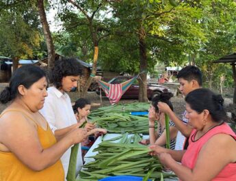 ¿Qué es el ecofeminismo y por qué reconocer su lucha?