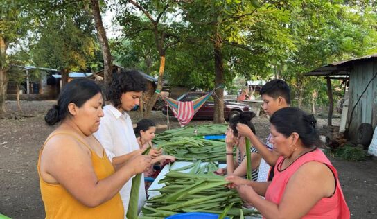 ¿Qué es el ecofeminismo y por qué reconocer su lucha?