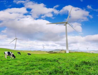 En 2021, la energía eólica y solar generaron el 10% de la electricidad mundial por primera vez