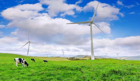 En 2021, la energía eólica y solar generaron el 10% de la electricidad mundial por primera vez