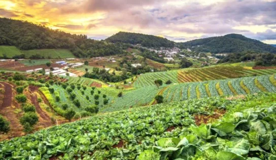 CADA VEZ MÁS PRODUCTORES AGRÍCOLAS SE SUBEN AL CARRO DE LOS FERTILIZANTES SOSTENIBLES