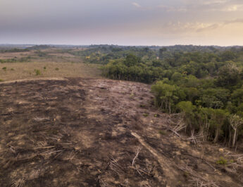 La Amazonía está a punto de sucumbir ante la crisis climática y convertirse en una sabana