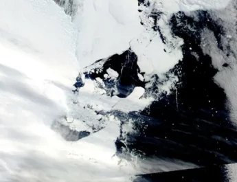 La delgada capa de hielo de la Antártida se derrumba después de la ola de calor