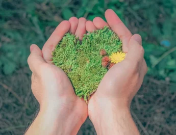 Carreras profesionales enfocadas al cuidado del medio ambiente que puedes estudiar