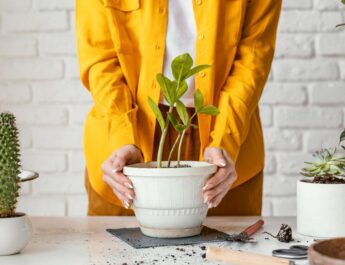 Los trucos para cuidar el jardín y las plantas con vinagre: un remedio ecológico