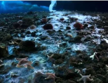 Conoce el brinicle o dedo de la muerte; el ciclón del mar
