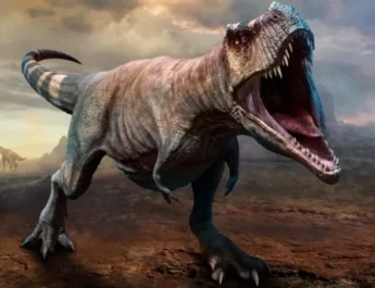Dinosaurio T-Rex posiblemente tuvo tres especies diferentes, según estudio