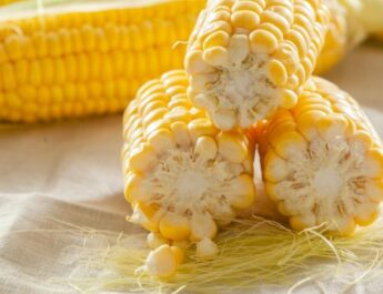 Haz un fertilizante vitaminado con pelos de elote para hacer crecer tus plantas rápido