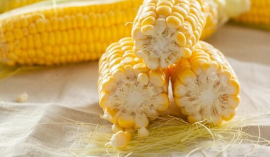 Haz un fertilizante vitaminado con pelos de elote para hacer crecer tus plantas rápido
