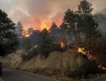 Interpone Secretaría de Medio Ambiente denuncia penal por el incendio forestal en Santiago