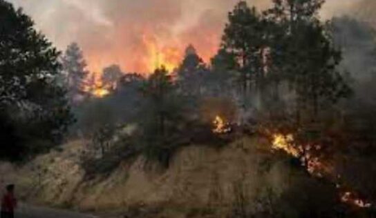 Interpone Secretaría de Medio Ambiente denuncia penal por el incendio forestal en Santiago