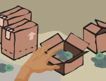 Saqueado: el incierto destino del peyote mexicano