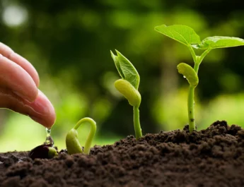¿Qué es la inversión sostenible y cuáles son sus beneficios?