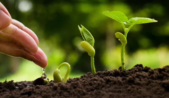 ¿Qué es la inversión sostenible y cuáles son sus beneficios?