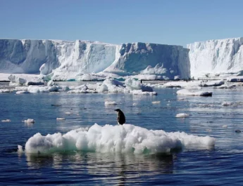La Antártida cada vez se vuelve más «caliente»; registró altas temperaturas