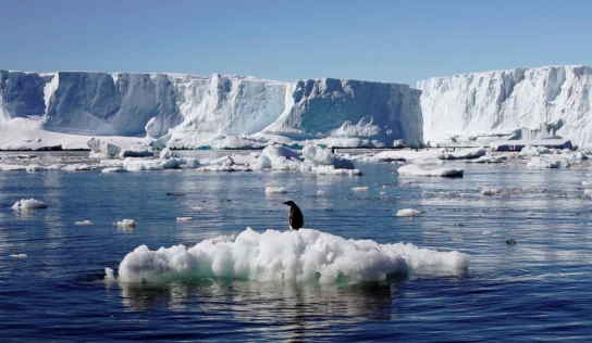 La Antártida cada vez se vuelve más «caliente»; registró altas temperaturas