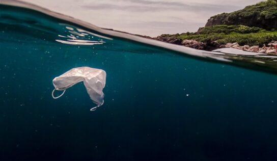 El reciclaje del plástico, una asignatura pendiente a nivel global