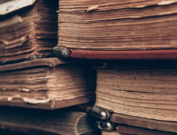¿Se puede emplear el modelo ecológico para preservar la literatura antigua?