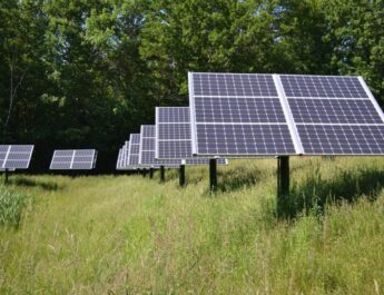 Startups de energía limpia pueden ayudar en crisis energética actual