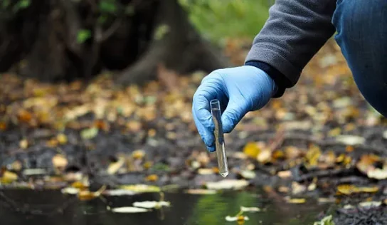 ¿QUÉ ES LA CONTAMINACIÓN DEL SUELO? IMPACTOS AMBIENTALES Y CÓMO COMBATIRLA