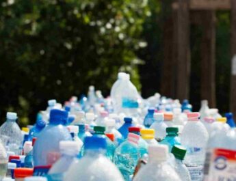 ¿Es rentable tener un negocio de reciclaje en México?