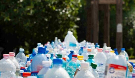 ¿Es rentable tener un negocio de reciclaje en México?