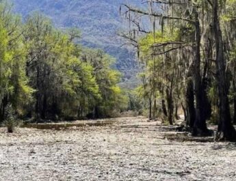 ¡Desolador! Así luce el río Ramos