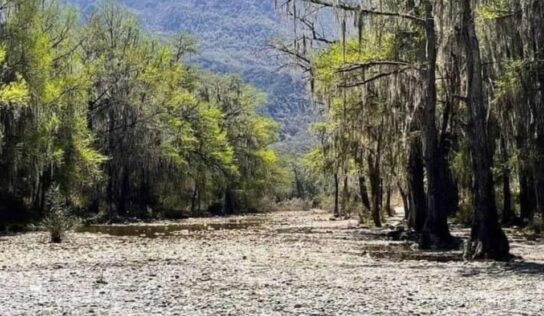 ¡Desolador! Así luce el río Ramos
