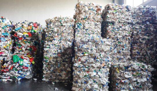 La valorización de los residuos: una segunda oportunidad para los materiales
