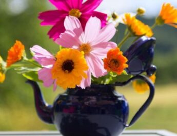 5 ideas para hacer macetas para plantas y suculentas con objetos reciclados