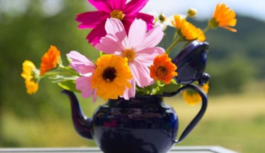 5 ideas para hacer macetas para plantas y suculentas con objetos reciclados