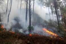 Controlado incendio en Santiago; dos mil hectáreas afectadas