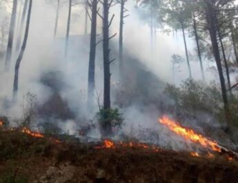 Controlado incendio en Santiago; dos mil hectáreas afectadas