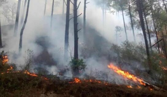 Controlado incendio en Santiago; dos mil hectáreas afectadas
