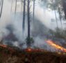 Controlado incendio en Santiago; dos mil hectáreas afectadas